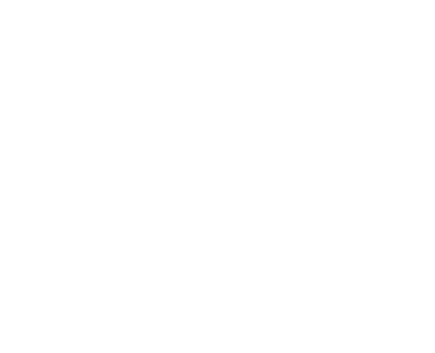 Logo CR Blanc